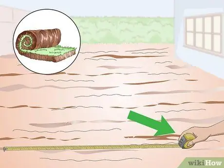 Посадить бермудскую траву Шаг 11