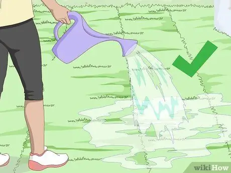 Посадить бермудскую траву Шаг 16