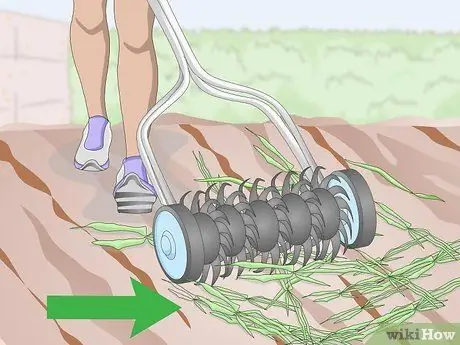 Посадить бермудскую траву Шаг 2