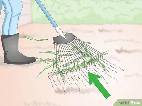 Посадить бермудскую траву Шаг 3