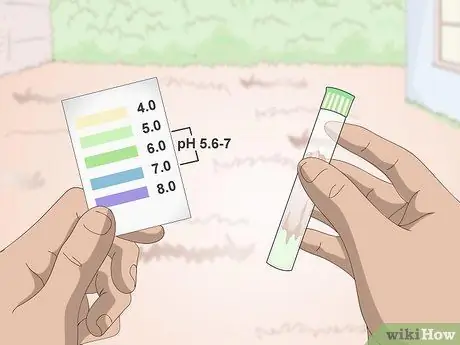 Посадить бермудскую траву Шаг 4