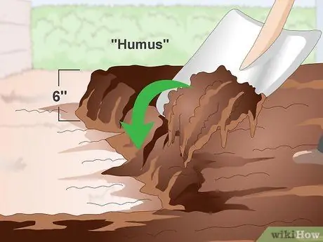 Посадить бермудскую траву Шаг 5