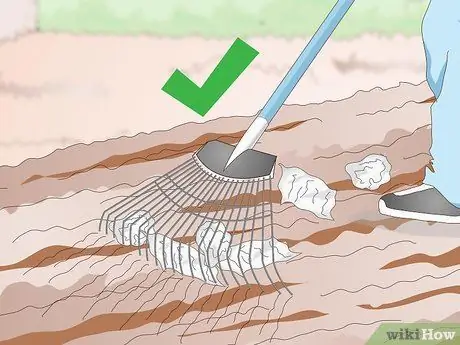 Посадить бермудскую траву Шаг 6