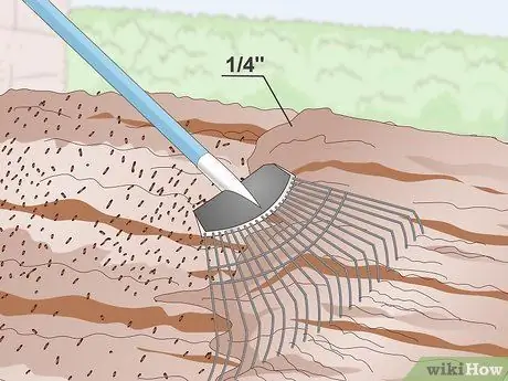 Посадить бермудскую траву Шаг 8