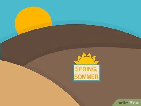 Посадить дерновину святого Августина Шаг 01