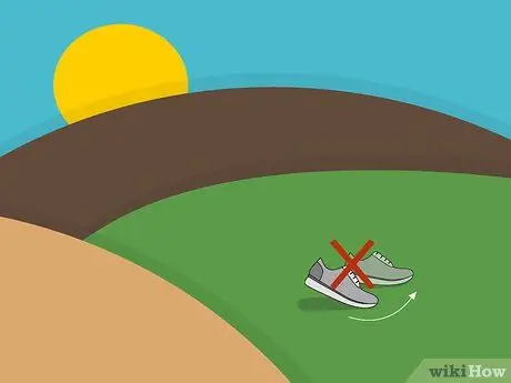 Посадить дерновину святого Августина Шаг 11