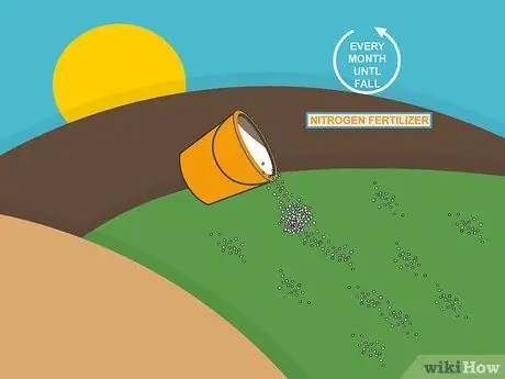 Посадить дерновину святого Августина Шаг 14