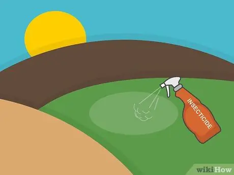 Посадить дерновину святого Августина Шаг 15