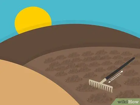 Посадить дерновину святого Августина Шаг 05