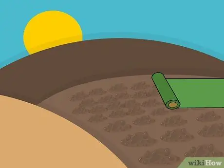 Посадить дерновину Святого Августина Шаг 06