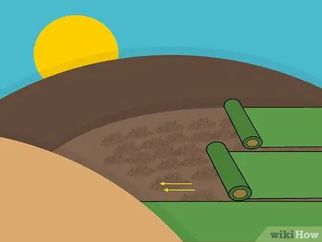 Посадить дерновину святого Августина Шаг 07