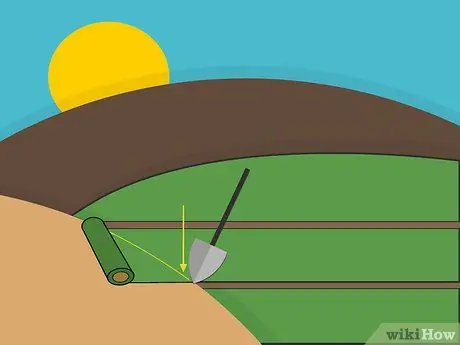 Посадить дерновину святого Августина Шаг 08