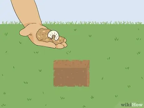 Верните мертвую траву, шаг 1