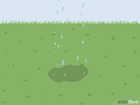 Вернуть мертвую траву Шаг 10