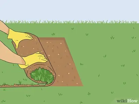 Вернуть мертвую траву Шаг 11