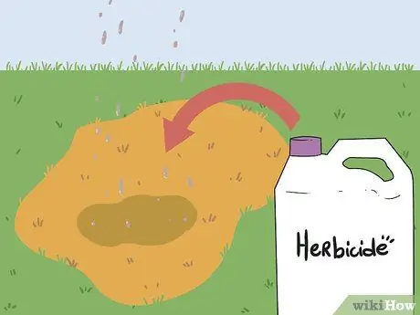 Вернуть мертвую траву Шаг 12