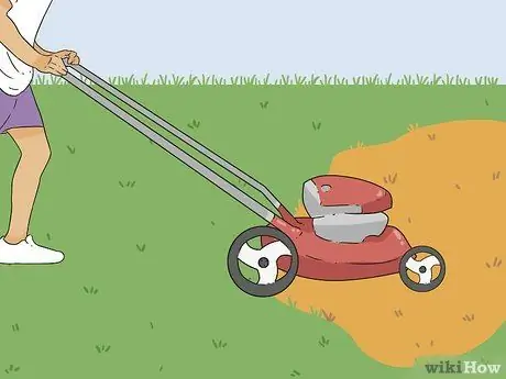 Вернуть мертвую траву Шаг 13