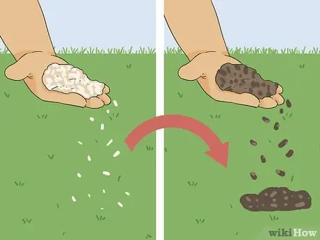 Вернуть мертвую траву Шаг 15