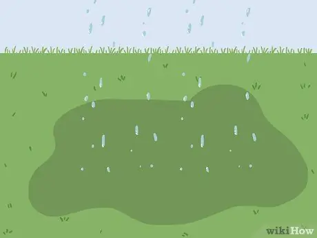 Вернуть мертвую траву Шаг 16