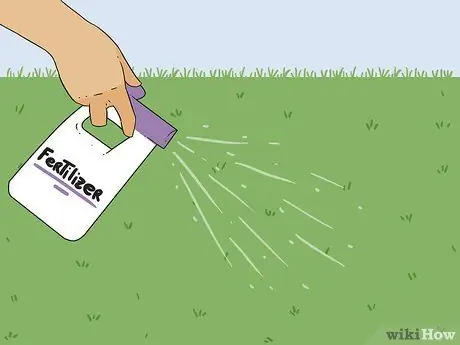 Вернуть мертвую траву Шаг 17