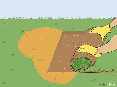 Вернуть мертвую траву Шаг 18