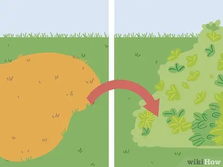 Вернуть мертвую траву Шаг 19