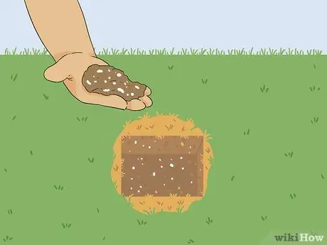 Вернуть мертвую траву, шаг 2