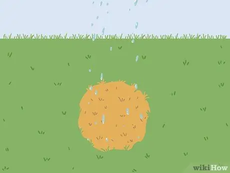 Вернуть мертвую траву Шаг 3