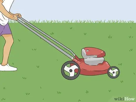 Вернуть мертвую траву Шаг 4