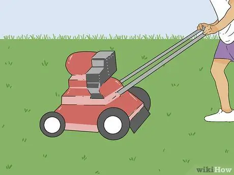 Вернуть мертвую траву Шаг 6