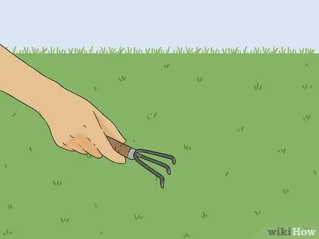 Вернуть мертвую траву Шаг 7