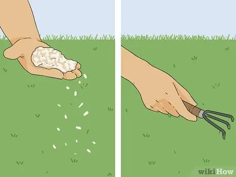 Вернуть мертвую траву Шаг 8