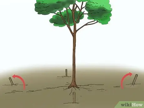 Засорение куста или дерева Шаг 11