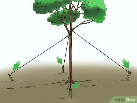 Зажечь куст или дерево Шаг 12