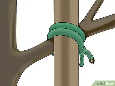 Засорение куста или дерева Шаг 4