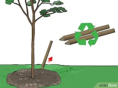 Зажечь куст или дерево Шаг 9