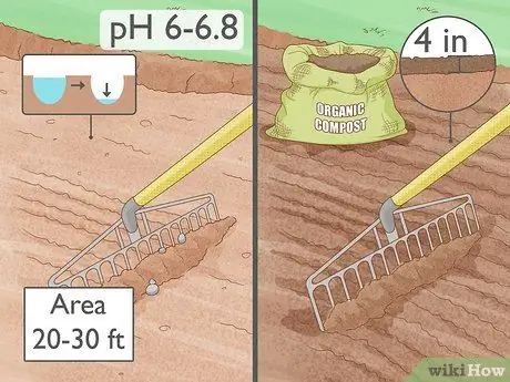 Посадить тыквенные семечки, шаг 3
