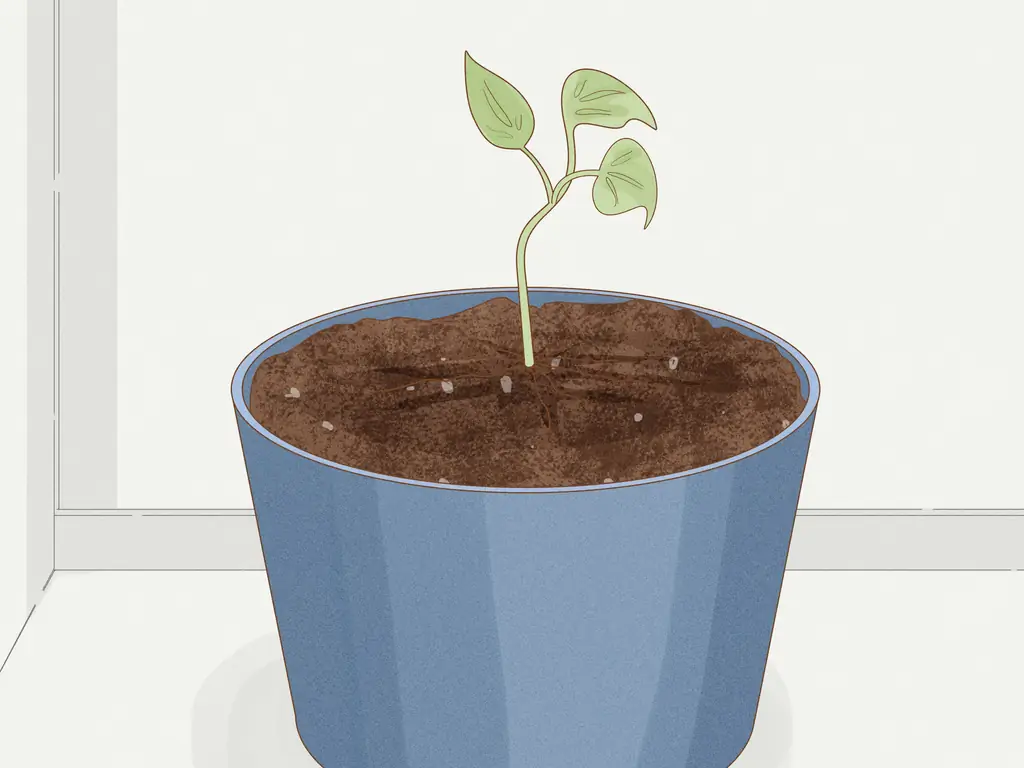 Простые способы выращивания филодендрона из черенков (с изображениями)