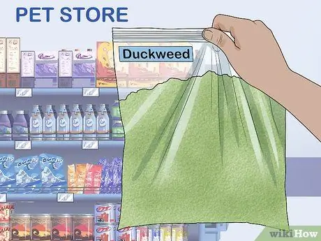 Выращивание ряски Шаг 1