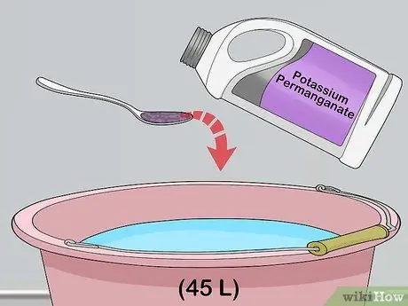 Выращивание ряски, шаг 2