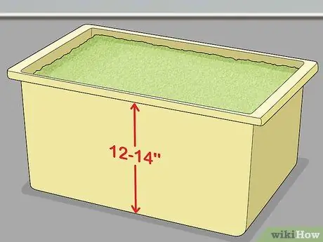 Выращивание ряски Шаг 3