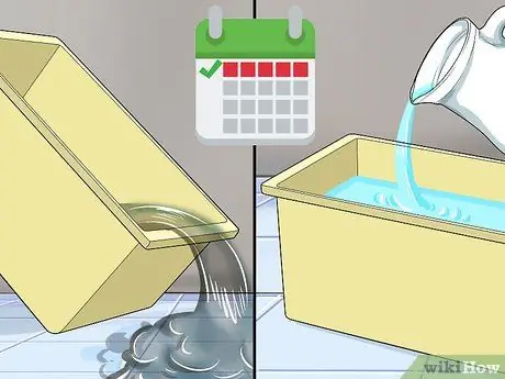 Выращивание ряски Шаг 5