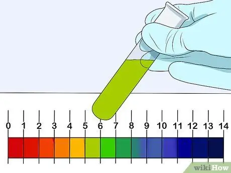 Выращивание ряски Шаг 7