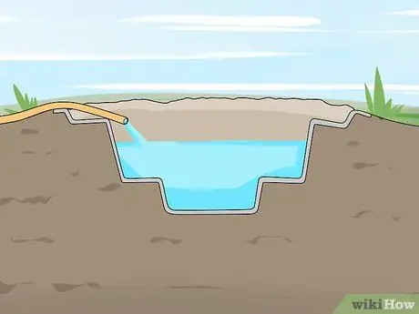 Выращивание ряски Шаг 9