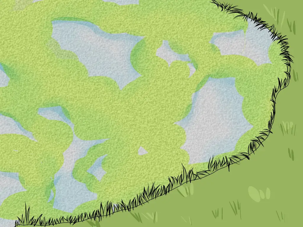 Как вырастить ряску: 13 шагов (с иллюстрациями)