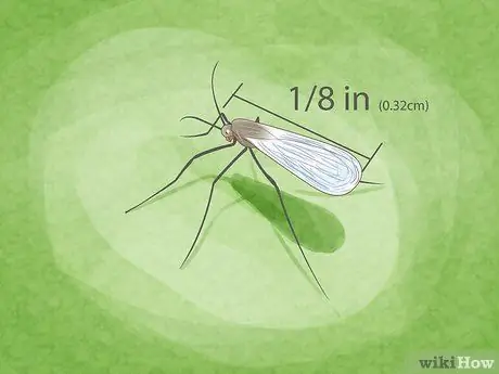 Предотвращение чрезмерного полива комнатных растений Шаг 15