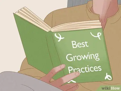 Предотвращение чрезмерного полива комнатных растений Шаг 6