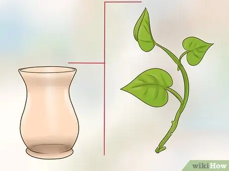 Клонирование Pothos, шаг 10