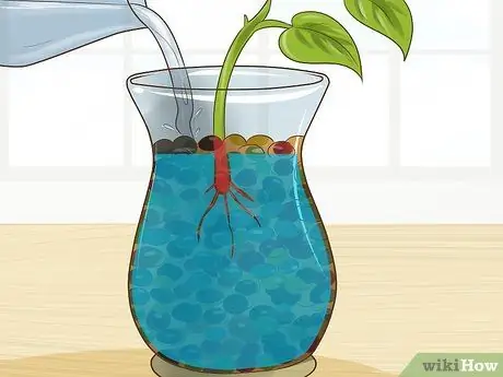 Клонирование Pothos, шаг 13