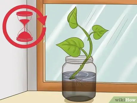 Клонирование Pothos, шаг 5